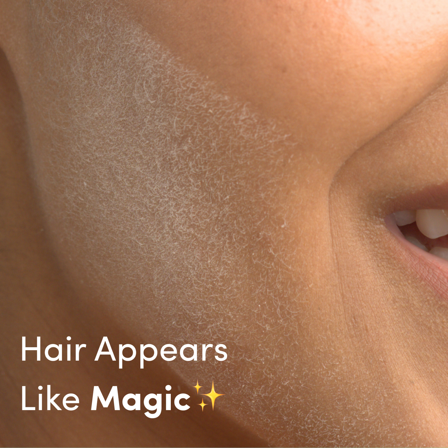 Abilio Starter Kit w/ Hair Identifier Spray